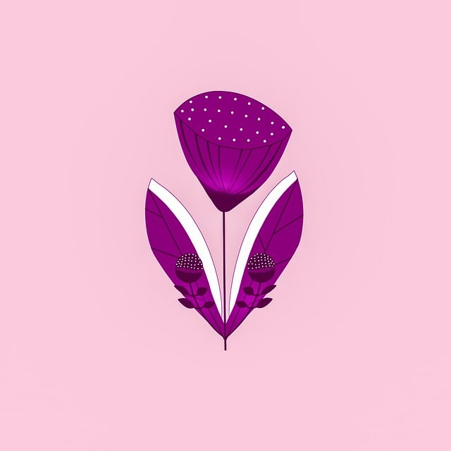 tulip, flower, buds