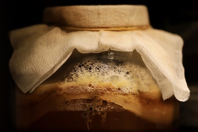 kombucha, fermented drink, fermentation